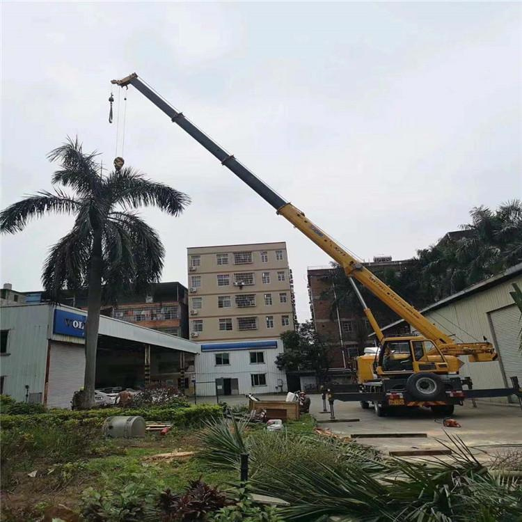 陈场镇汽车吊出租多少钱？全面解析与市场行情