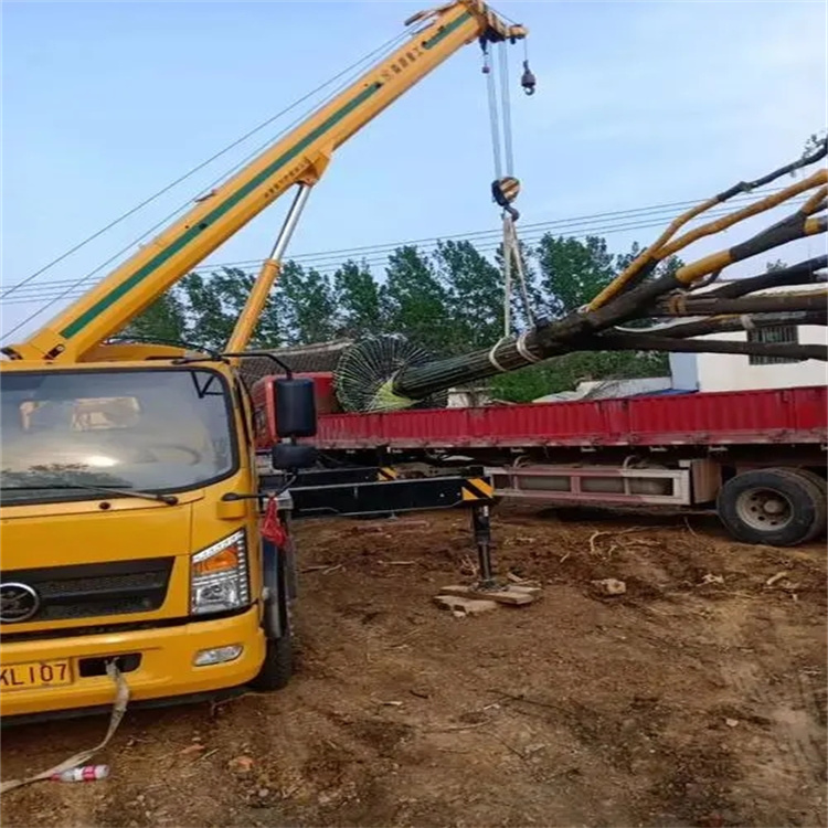 陈场镇100吨吊车租赁费用怎么算？3大关键因素+省钱技巧全解析